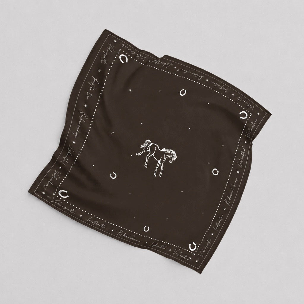 Combo match pañoletas | Caballo café