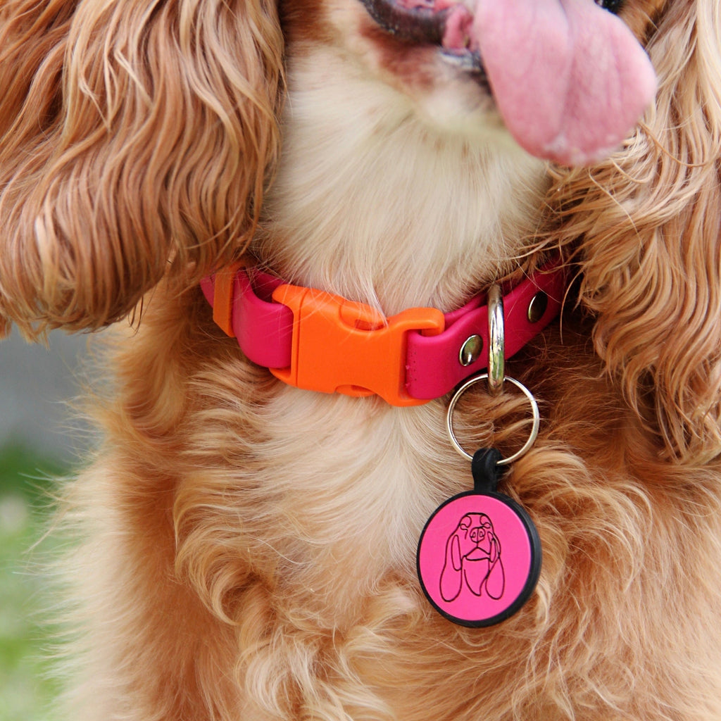 Placa de goma borde negro Vekopets