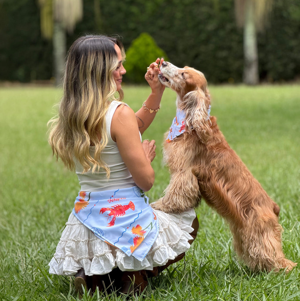 Pañoleta seda para humano | Mar italia